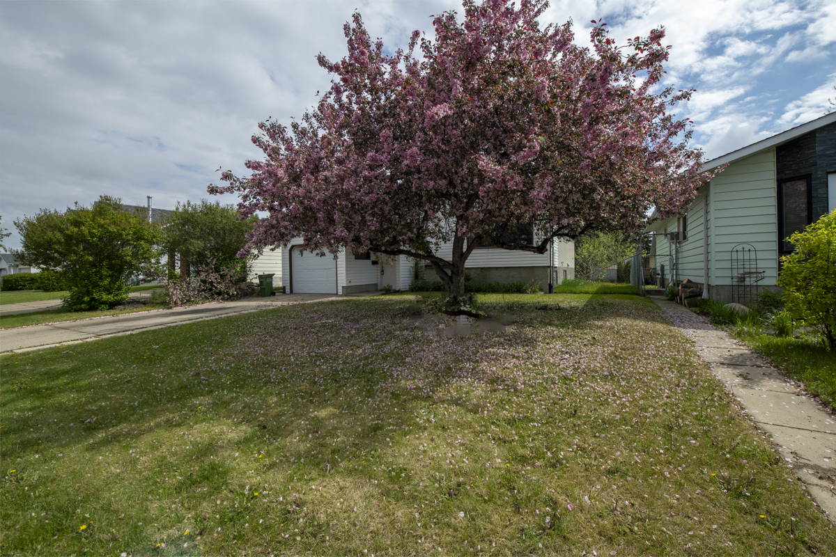 Pollard Meadows: A Hidden Gem with Big Potential for Just $299,900