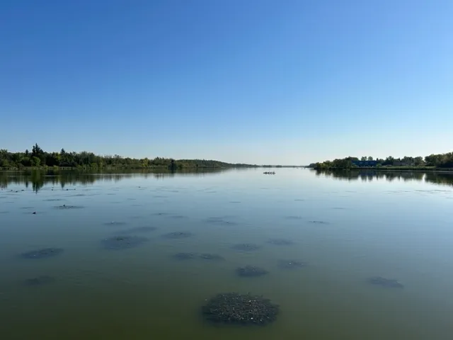 Discover Leduc, Alberta, with Allisha Mckenzie: Your Premier Real Estate Professional